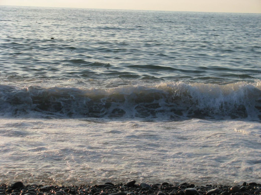 37172 (a): :1600x1200